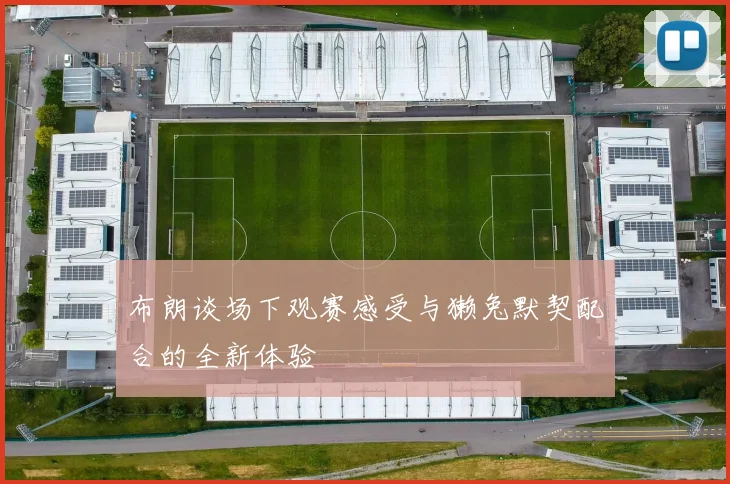 布朗谈场下观赛感受与獭兔默契配合的全新体验