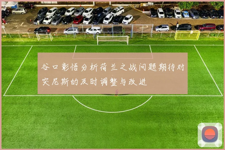 谷口彰悟分析荷兰之战问题期待对突尼斯的及时调整与改进